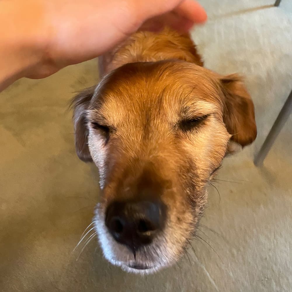 Elsa, the team's barketing manager